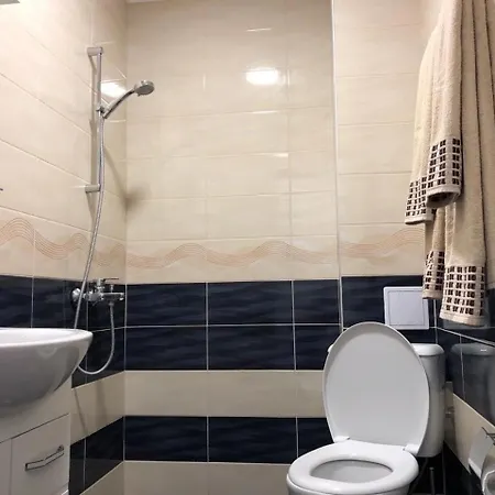 Apartment Iva